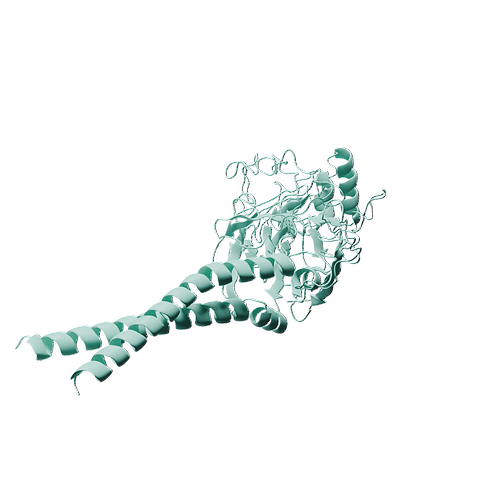 Biotinylated Mouse CD36 (C-Avi-6His, HEK293)